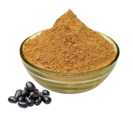 Jamun Seeds Powder / Jamun Guthali Powder (Syzygium cumini)