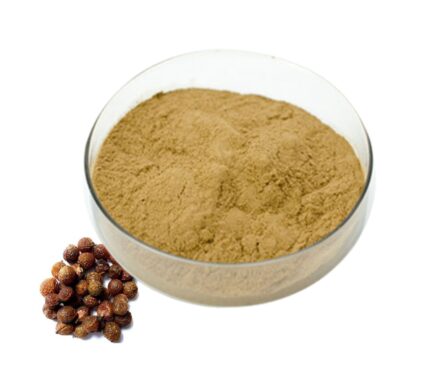 Soapnut Powder (Sapindus Mukoross)