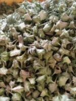 Gokharu Powder (Tribulus terrestris) - Image 3