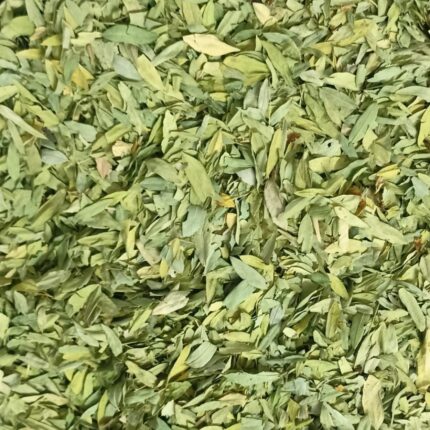 Senna Leaves (Cassia Angustifolia)