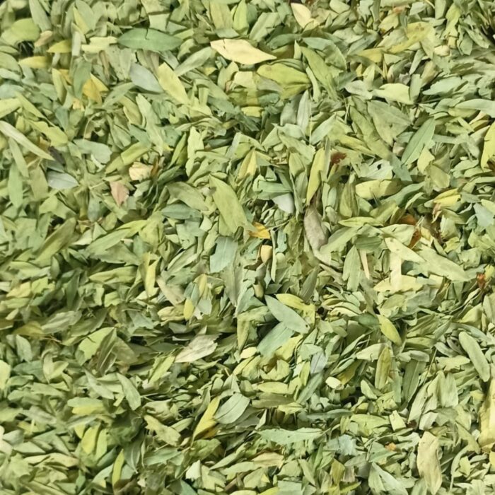 Senna Leaves (Cassia Angustifolia)