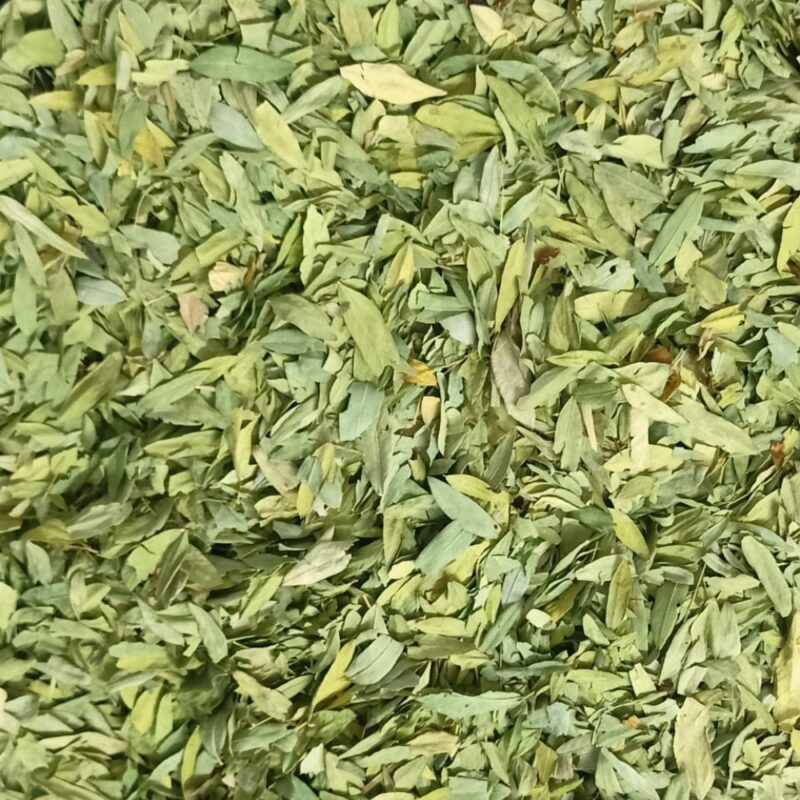 Senna Leaves (Cassia Angustifolia)