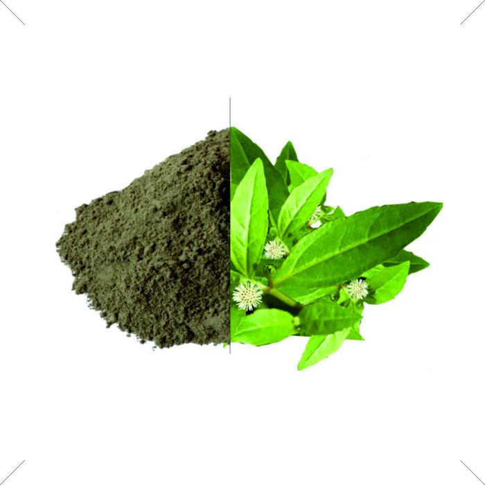 Bhringraj Powder - Image 1