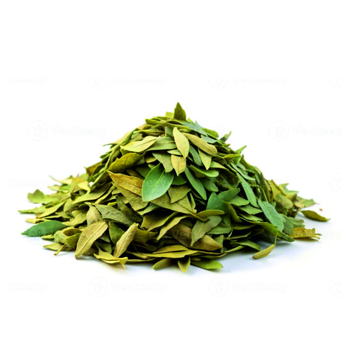 Curry Leaves - Image 1