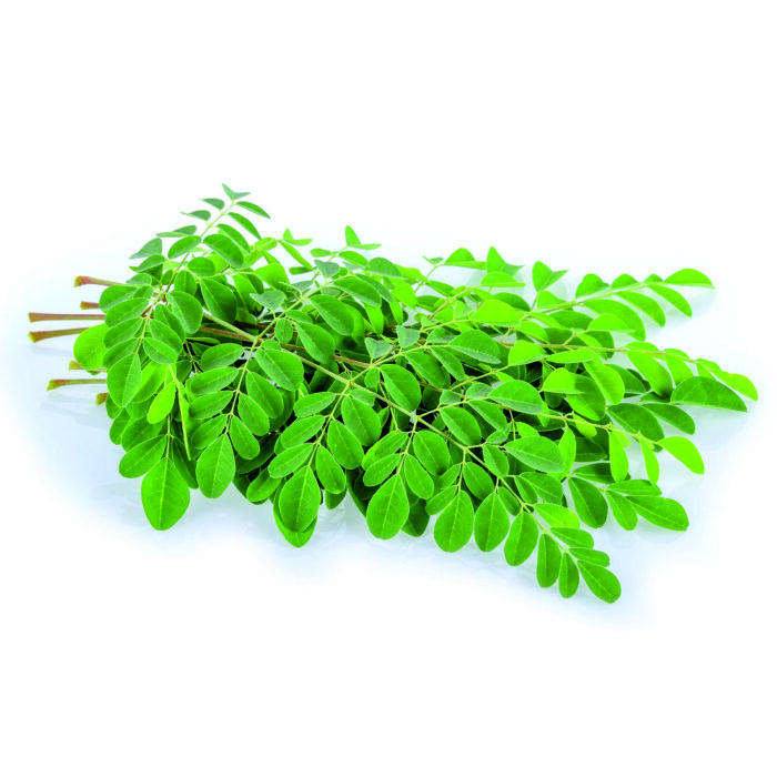 Moringa Leaf - Image 1