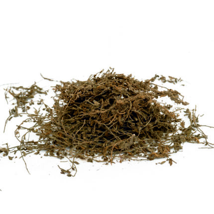 Shankhpushpi Herbal Powder | buy in bulk