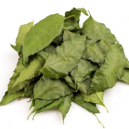 dried neem leaves