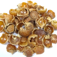 Soapnut Shells Wholesale - Natural & Eco-Friendly Bulk Soapnuts from Natural Herbal